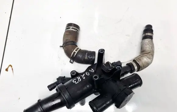 Ford Kuga I Engine coolant pipe/hose 9656182980