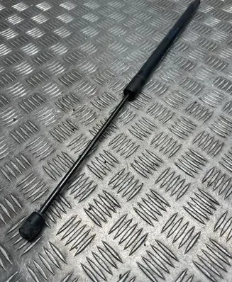 Tailgate/trunk strut/damper