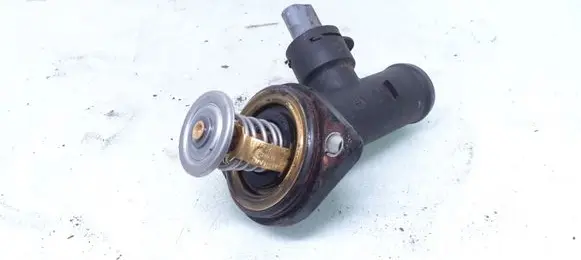 Thermostat/thermostat housing