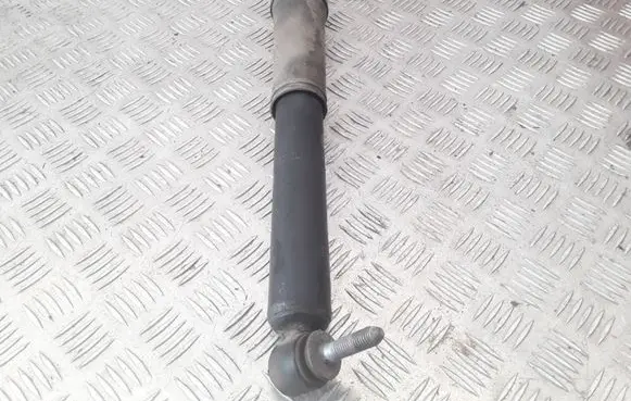 Renault Megane III Rear shock absorber/damper 562100026R