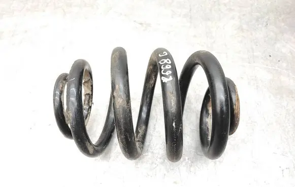 Rear coil spring