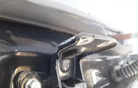 Rear door lower hinge