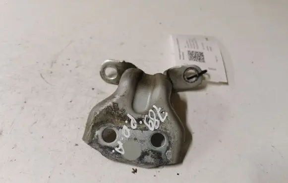 KIA Sorento Front door lower hinge