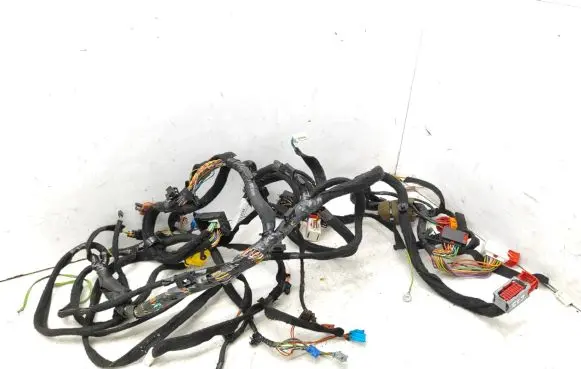 Citroen C5 Panel wiring 9650495180