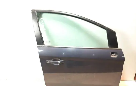 Ford Kuga I Front door