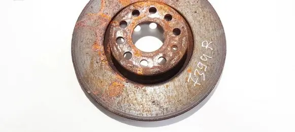 Volkswagen PASSAT B6 Front brake disc ventiliuojamas