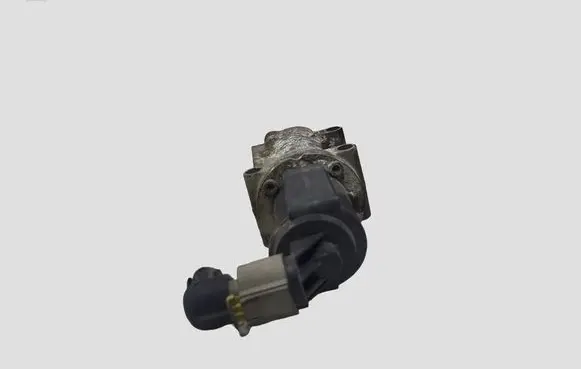Fiat Punto (188) EGR valve 50024005 09T079