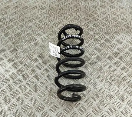 Rear coil spring