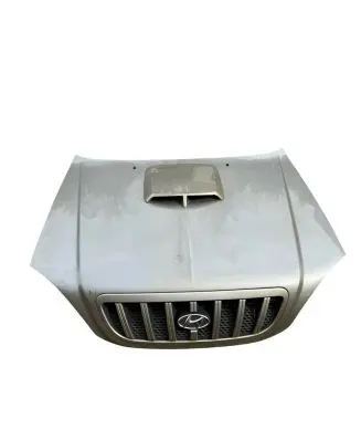 Hyundai Terracan Engine bonnet/hood