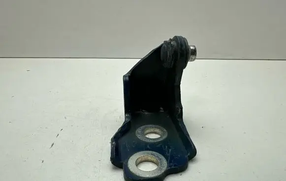 Ford Mustang VI Front door lower hinge 