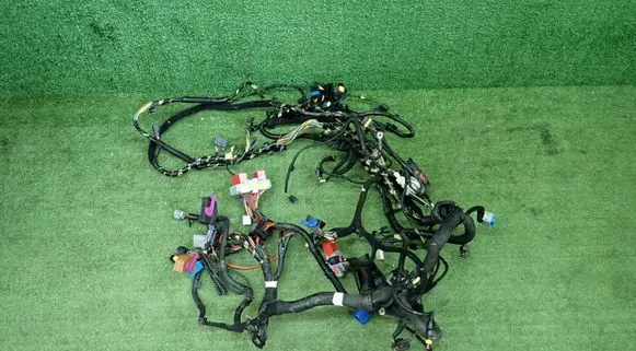 Fiat Ducato Wiring harness 01399180080