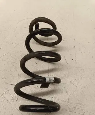 Rear coil spring