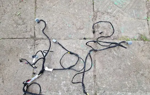 Other wiring loom
