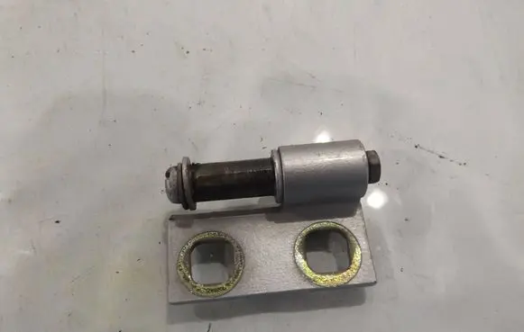 BMW 3 E46 Rear door lower hinge