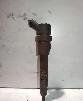 Renault Scenic I Fuel injector 0445110110