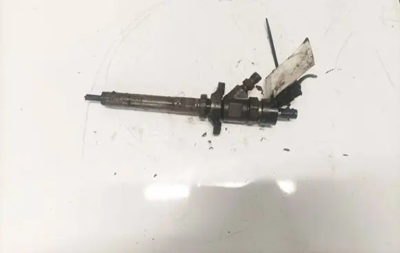Citroen Jumpy Fuel injector 0445110239