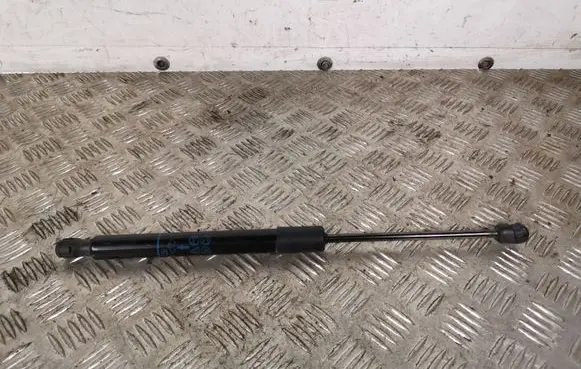 Opel Crossland X Tailgate/trunk strut/damper 39117353 958181