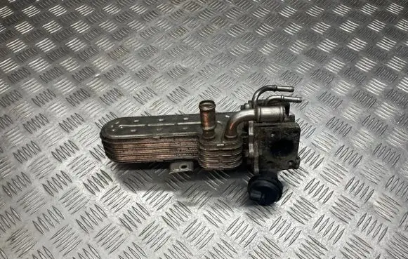 Volkswagen PASSAT B6 EGR valve cooler 038131513AD 01810 3210275