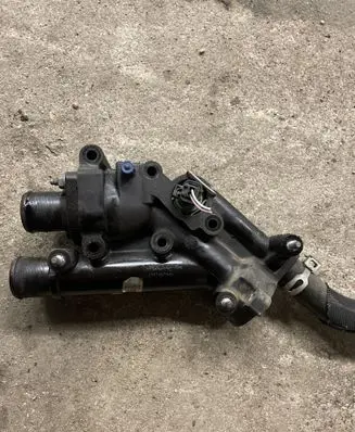 Thermostat/thermostat housing