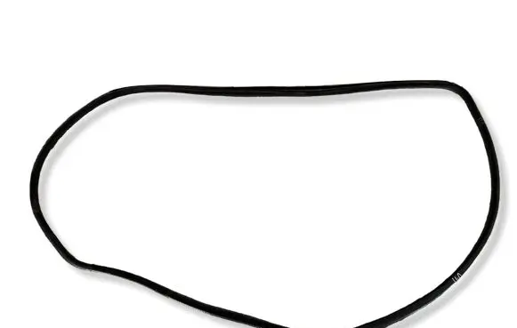 BMW X5 E53 Front door rubber seal 
