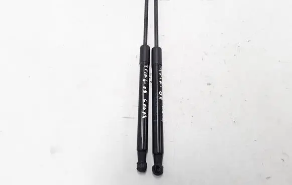 Renault Twingo II Tailgate strut 8200385560