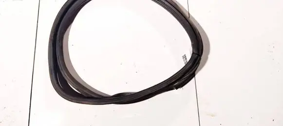 Citroen C3 Rubber seal rear door 