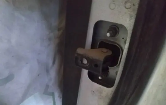 Ford Focus C-MAX Rear door check strap stopper