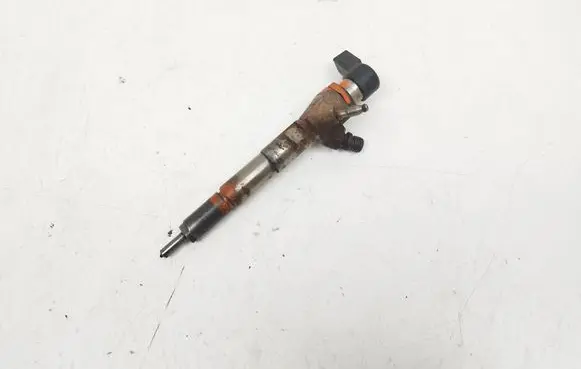Nissan Qashqai Fuel injector H8201100113 166006212R