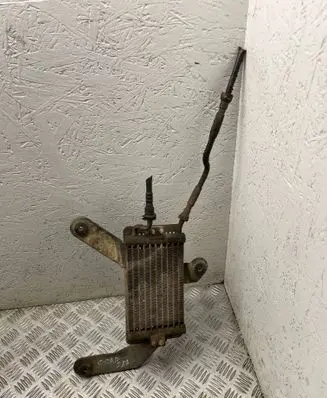 Chevrolet Captiva Fuel cooler (radiator) 