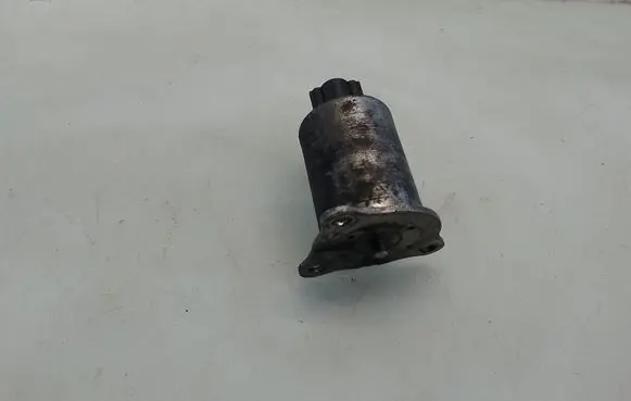 EGR valve