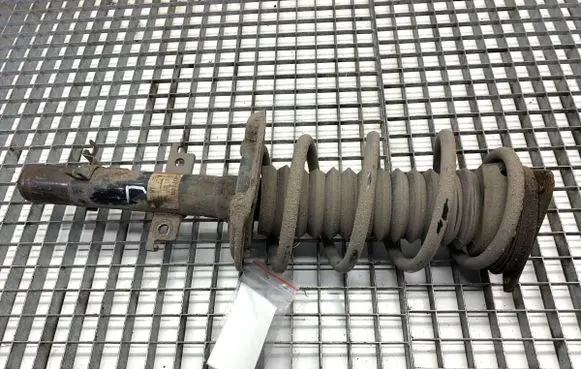 Nissan Qashqai Front shock absorber/damper 