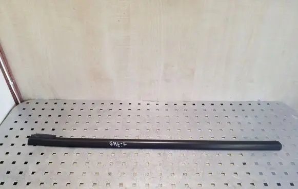 Ford Focus Rear door trim (molding) 4M51A25605