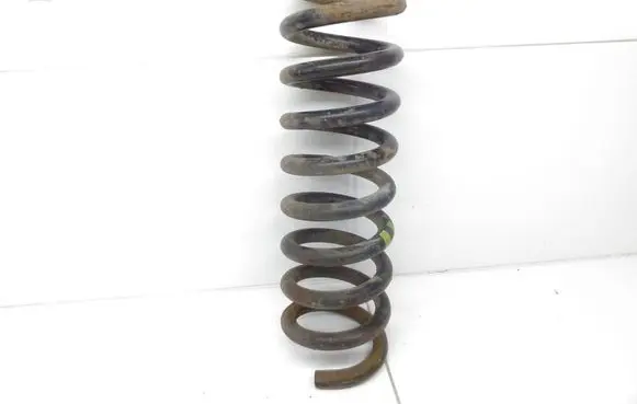 Rear coil spring