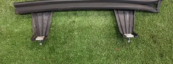 Rear door glass trim molding