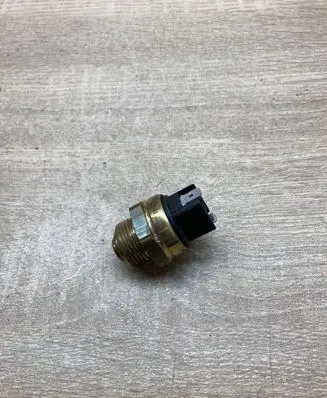 Peugeot 206+ Coolant temperature sensor V1151