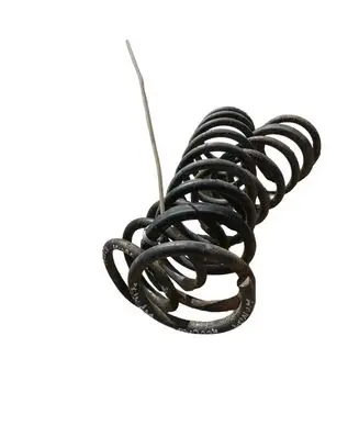 Rear coil spring