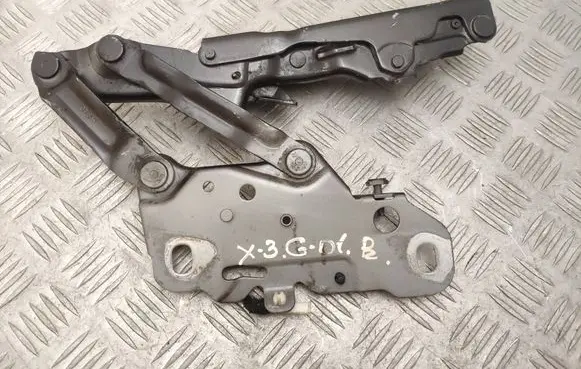 BMW X3 G01 Engine bonnet/hood hinges 7397500