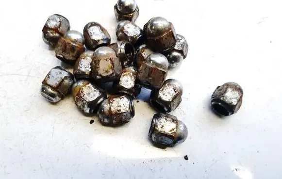 Nuts/bolts