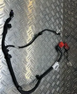 Other wiring loom