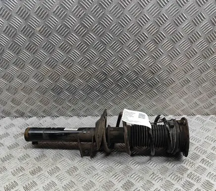 Front shock absorber/damper