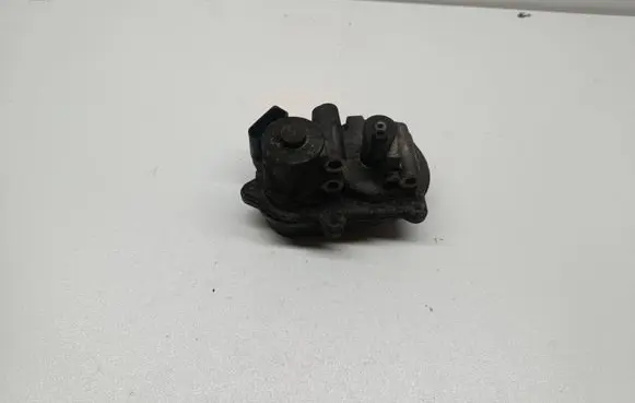 Volkswagen Phaeton Intake manifold valve actuator/motor 059129086L 1019809S06