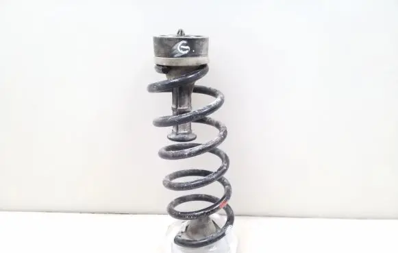Nissan Qashqai Rear coil spring
