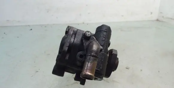 Volkswagen Transporter - Caravelle T5 Power steering pump 7E0422154E