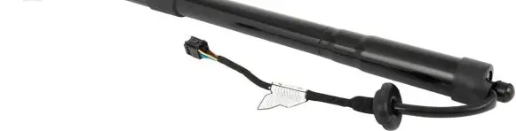 Tailgate strut