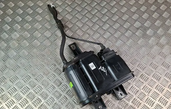 Hyundai Santa Fe Active carbon filter fuel vapour canister 31420P4200