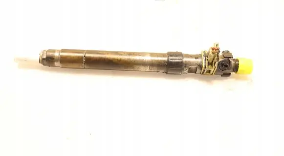 Ford C-MAX II Fuel injector EMBR00101D