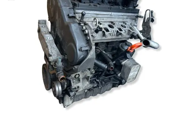 Volkswagen Golf VI Engine CAY