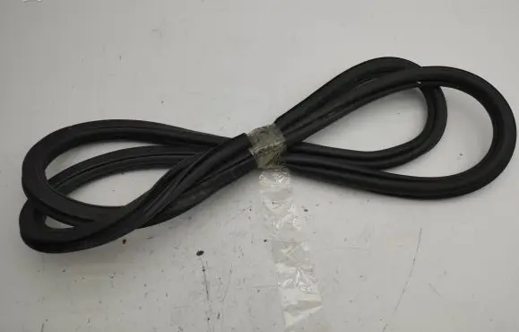 Rear door rubber seal (on body)
