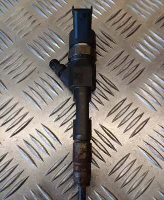 Suzuki Grand Vitara II Fuel injector 0445110230 8200389369