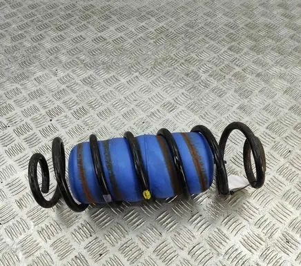 Chevrolet TrailBlazer Rear coil spring 15948009